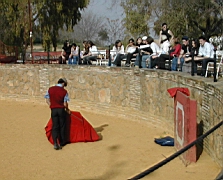 andalousie_carmona06.jpg