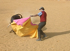 andalousie_carmona07.jpg