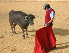 andalousie_carmona09.jpg