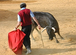 andalousie_carmona11.jpg