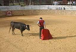 andalousie_carmona12.jpg