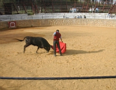 andalousie_carmona13.jpg