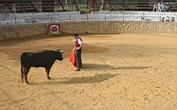 andalousie_carmona14.jpg