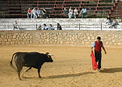 andalousie_carmona15.jpg