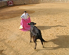 andalousie_carmona16.jpg