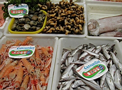 cordoue17.JPG