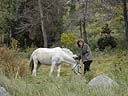 monemvasia_cheval_cam.jpg