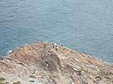sounion_bain2.jpg